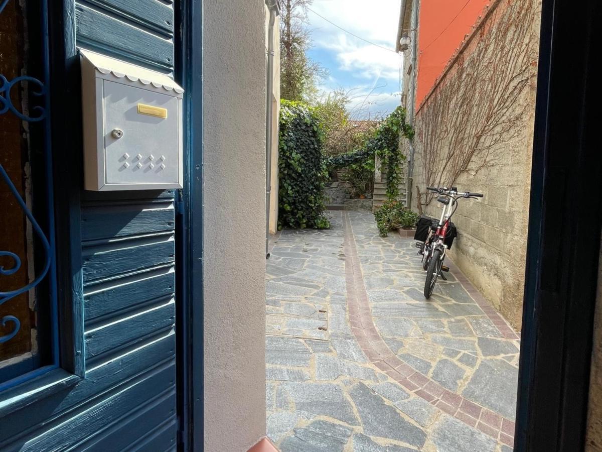 Studio Cabine A Collioure, A 100M De La Plage Et Des Commerces - Fr-1-309-153 Kültér fotó